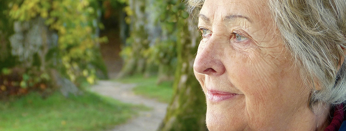 Versicherungen Meppen Basisrente Rürup Rente